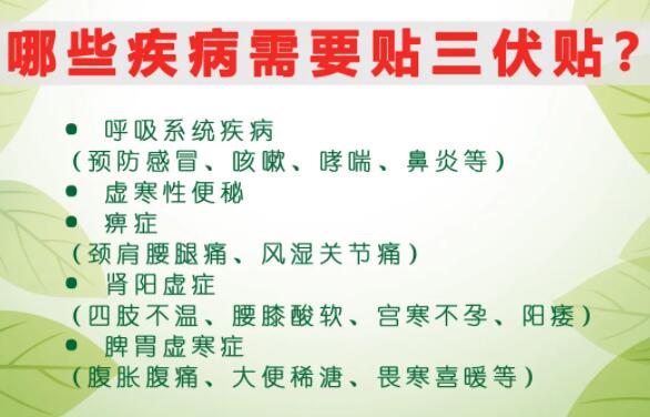 2、什么是三伏貼？三伏貼的作用？