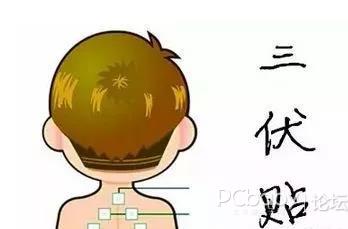1、三伏貼有用嗎？效果好嗎？