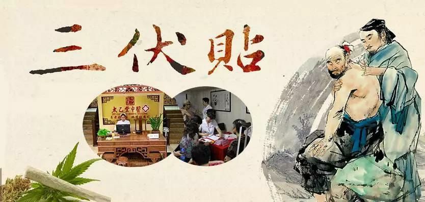 2、什么是三伏貼？三伏貼的作用？